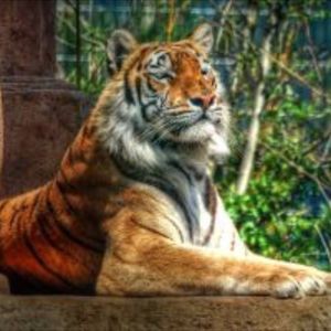 Meet your Posher, Marcus